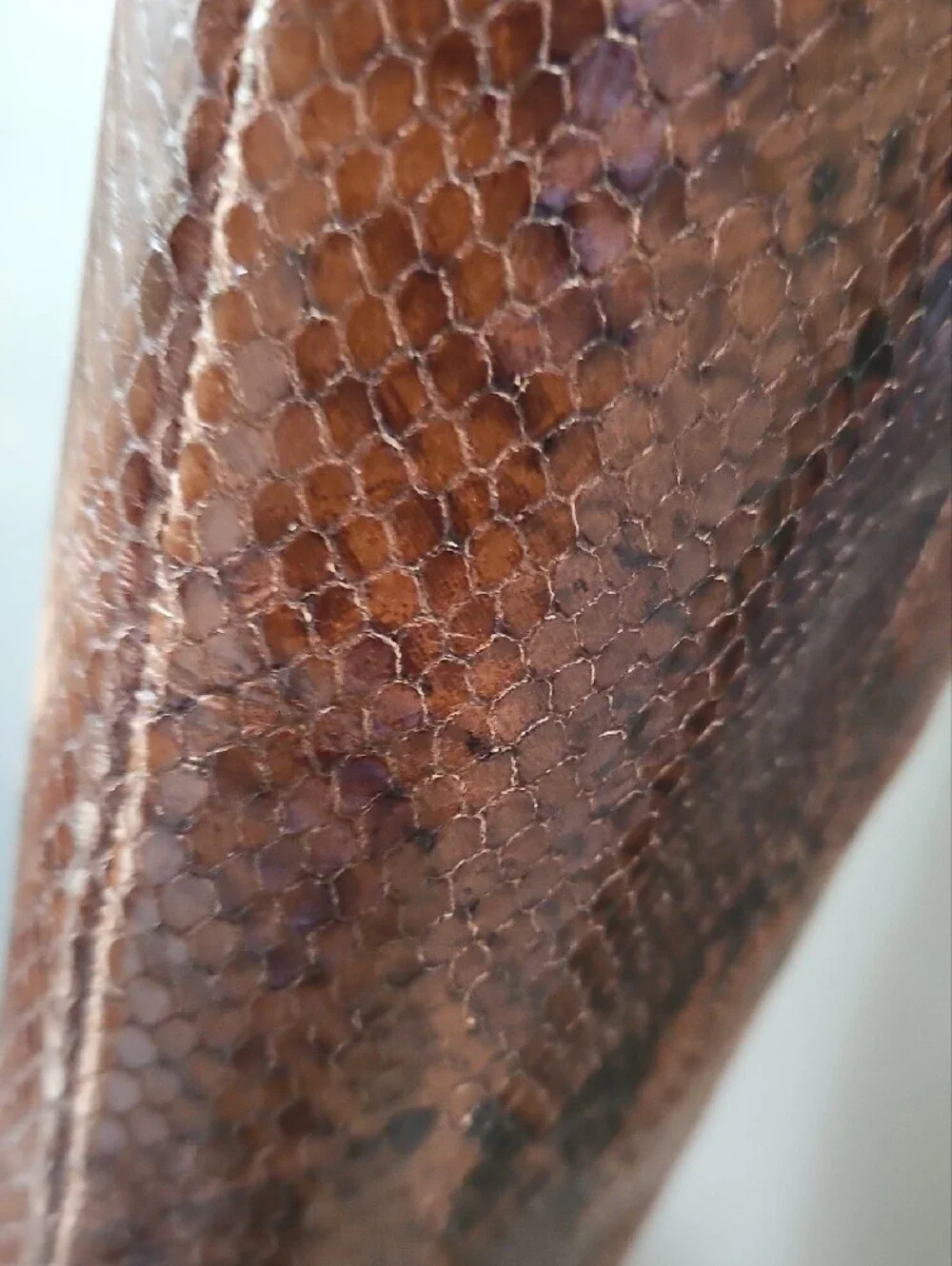 Sigerson Morrison Women’s Tall Snake-Embossed Leather Boots in Dark Brown